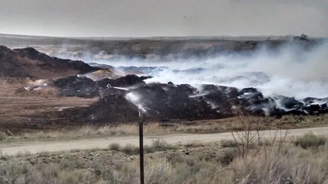 Saratoga Forest Management