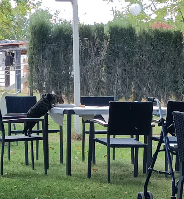 Restaurante Finca Baño Frio