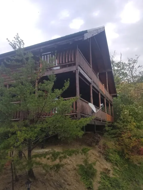 Brothers Cove #38 "Above It All"