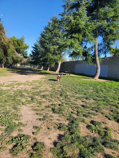 Glenbrook Large Dog Park