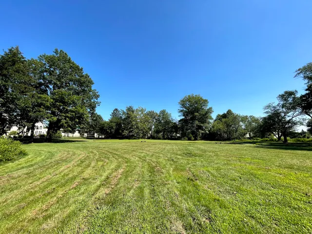 Friends of Fluehr Park