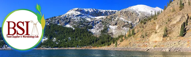 Brewing Science Institute Inc