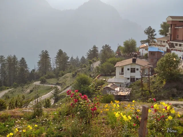 Auli adventure camping