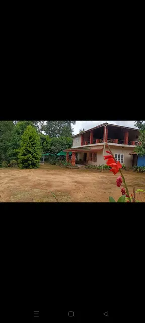 Blue petal home stay