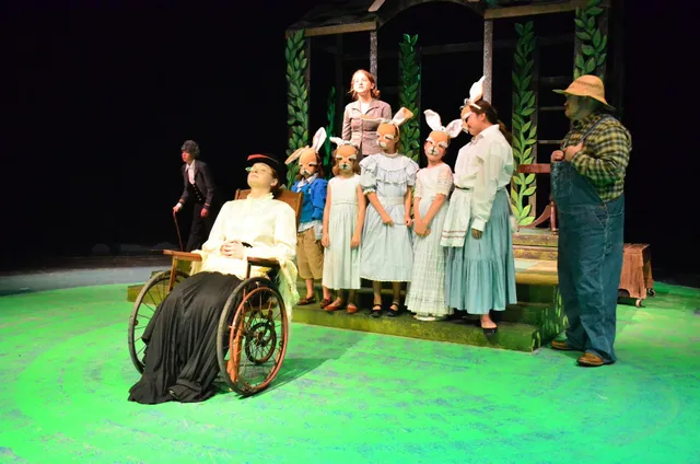 Honey Mcgee Playhouse