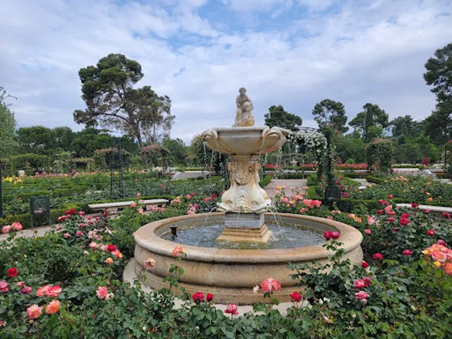 Rose Garden