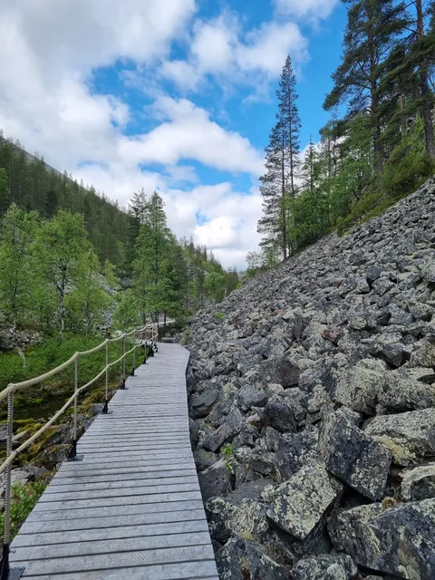 Pyhä-Luosto National Park