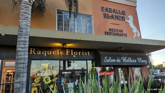 Caballo Blanco Restaurante