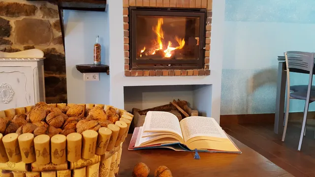 Rural apartment La Plazuela