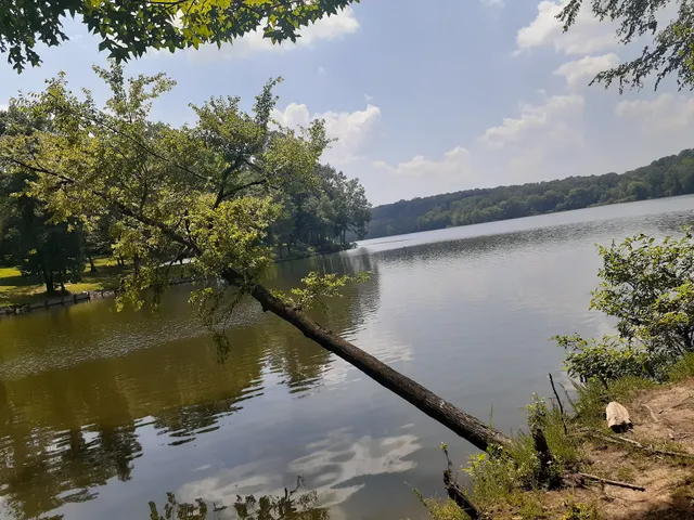 Lick Creek Recreation Area