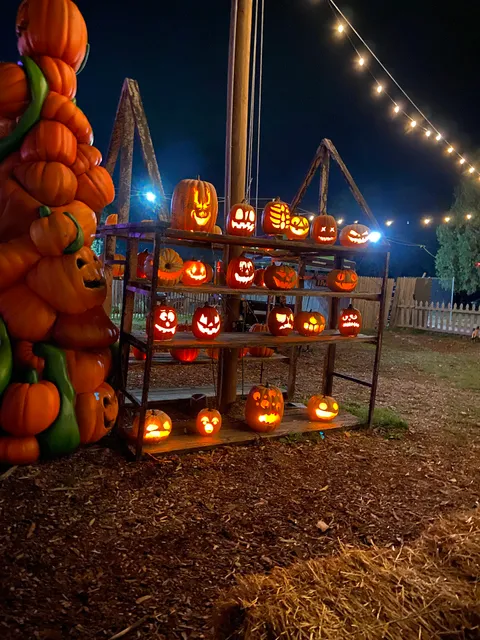 Haunted Hills Haunted Attractions