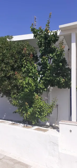 Spitaki Serifos Studio