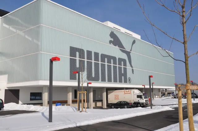 Sandy Garvin Fine Art