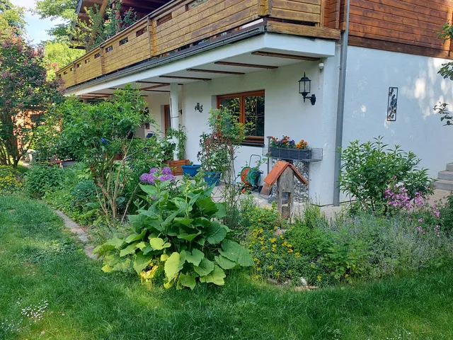 Ferienwohnung Im Harz Haus Antje Bruns