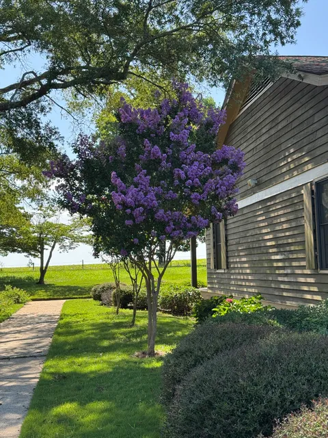 Georgia Visitor Information Center - Plains