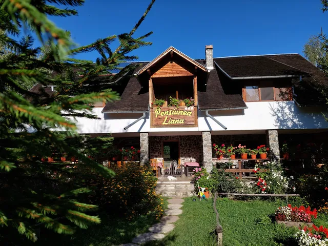 Pensiunea Liana