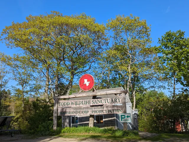 Hog Island Audubon Camp