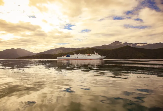 Wellington Interislander Vehicle Check-in