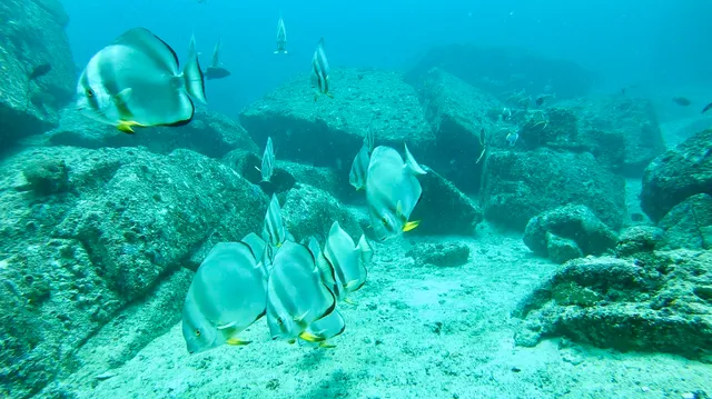 Dive Resort Seychelles