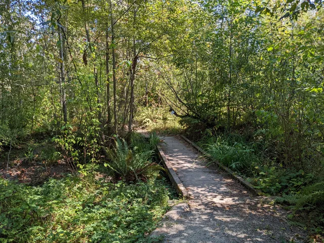 West Duwamish Greenbelt Trails
