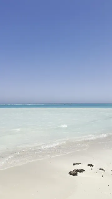 سيدي عبدالرحمن