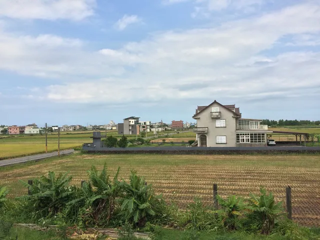 momo民宿-樹屋溜滑梯