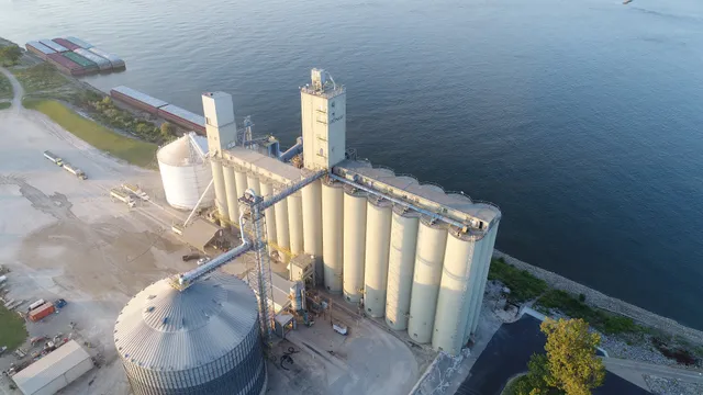 Viserion Grain Caruthersville