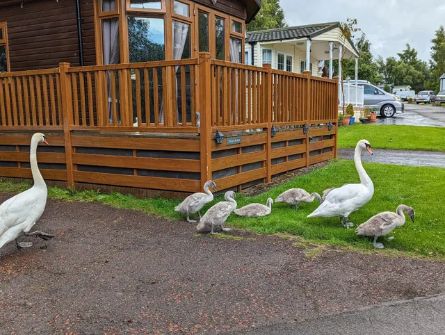 Felmoor Country Park