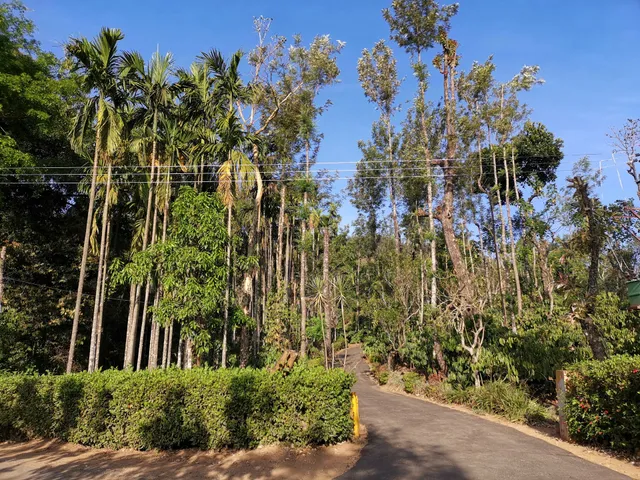 Chilligeri Estate Homestay - A Wandertrails Stay