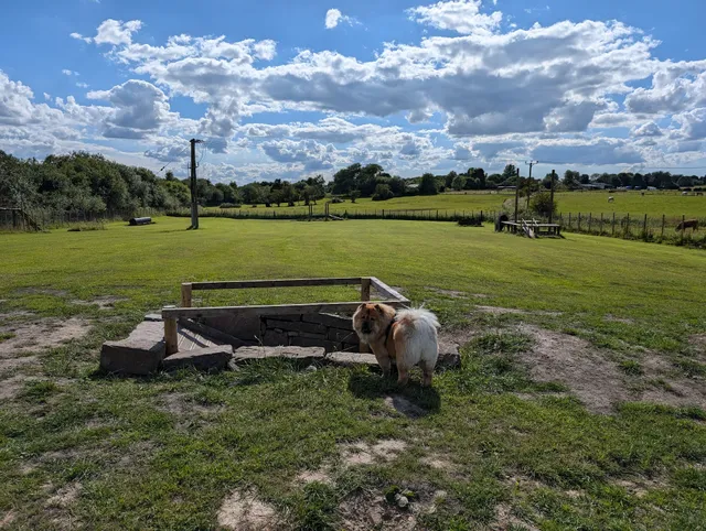 Exclusive Acres Dog Park