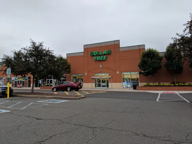 The Flemington Circle Shopping Center