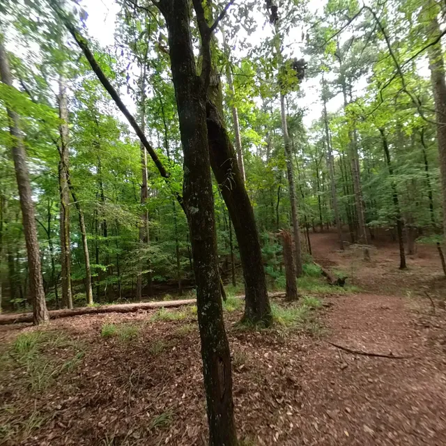 Lake Claiborne State Park