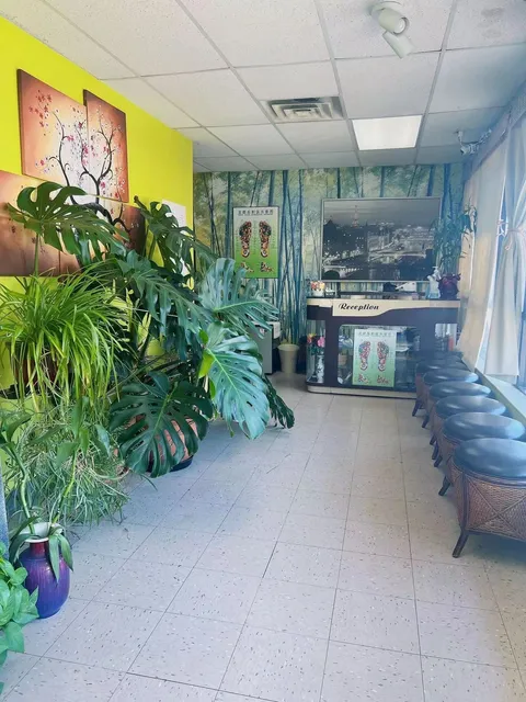 Bamboo Forest Denver