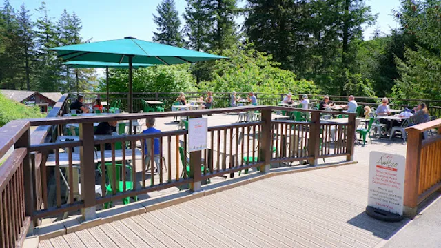 Cafe Ambio Whinlatter Forest