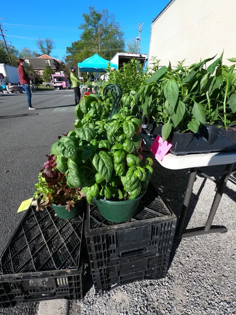 Vienna Farmers Market (May-October only)