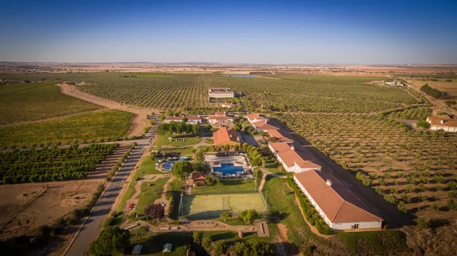 Hotel Vila Galé Alentejo Vineyards