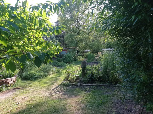 Interkultureller Garten Wuhlegarten