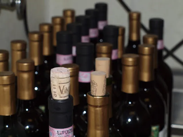 Nicolo's Chicago Style Pizza