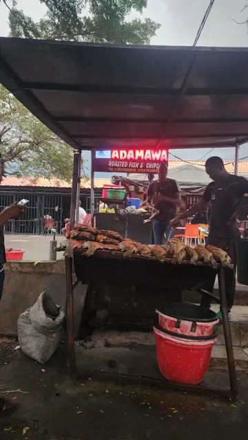 Adamawa Fish