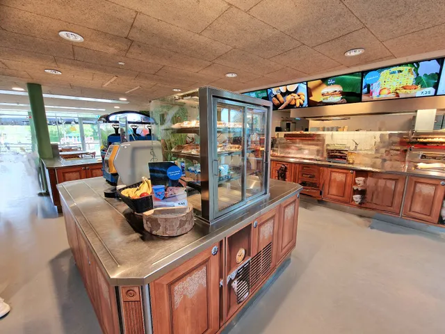 The house in the hill