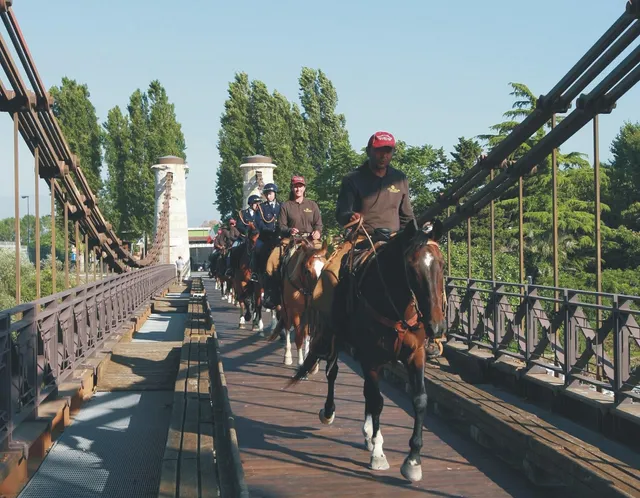 Crete Gialle Agro Turismo