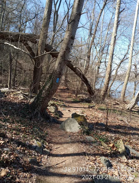 Potomac Tributary Waterfall