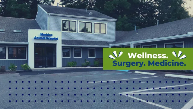 Meriden Animal Hospital