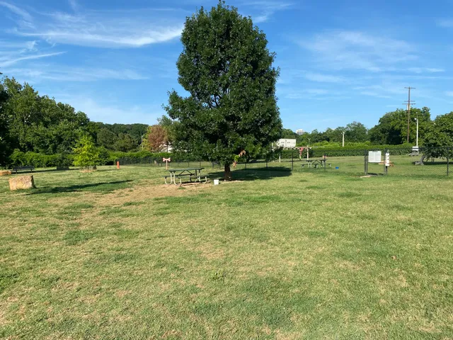 Joe Station Dog Park