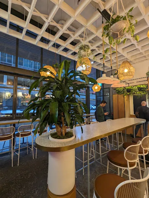 Cali Press 1 Denison (North Sydney)