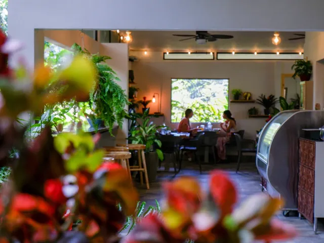 Kunjani Cafe Dominicalito