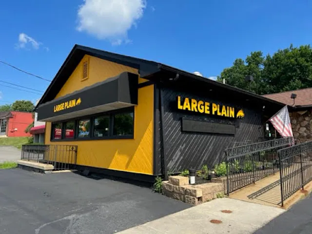 Large Plain Pizza and Pints