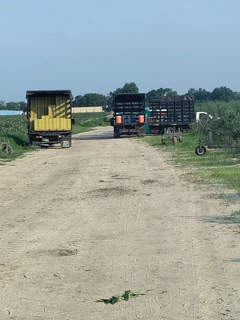 Columbia Fruit Farms Inc