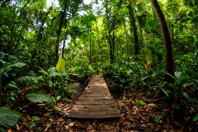 Pacific Botanical Garden & Mecana Ecohotel