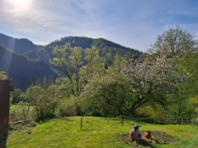 Ferienwohnungen WALDBLICK WALDBREITBACH